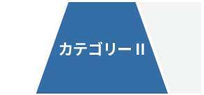 カテゴリー2