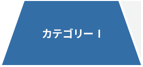 カテゴリー3